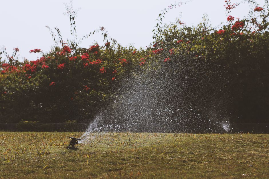 Lawn sprinkler system watering a commercial green space
